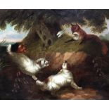 19th century school, Terriers with fox, oil on canvas, H.25.5cm W.30cm