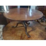 A 19th century mahogany circular low table, raised on splayed legs, H.46cm Diameter 81cm