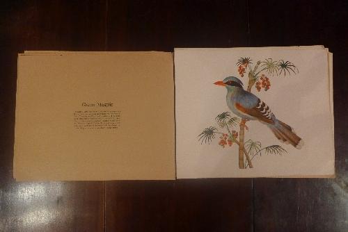 A complete collection of Chinese prints of birds, taken from 18th Century plates, (qty) - Bild 4 aus 4
