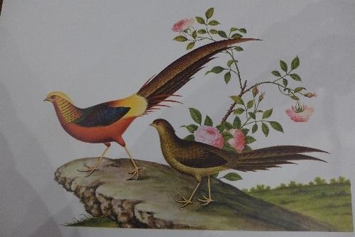 A complete collection of Chinese prints of birds, taken from 18th Century plates, (qty) - Bild 2 aus 4