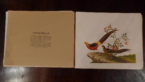 A complete collection of Chinese prints of birds, taken from 18th Century plates, (qty)