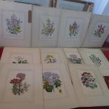 A collection of 18th Century coloured prints of flowers (18)