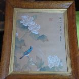 A Chinese watercolour of a perching blue bird, in a maple frame, H.59cm W.50cm