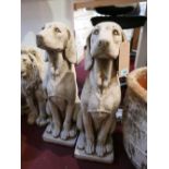 A pair of reconstituted stone seated hounds, H.69cm (2)