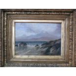 A 19th century oil on canvas, seascape, indistinctly signed, in gilt frame, 24x35cm
