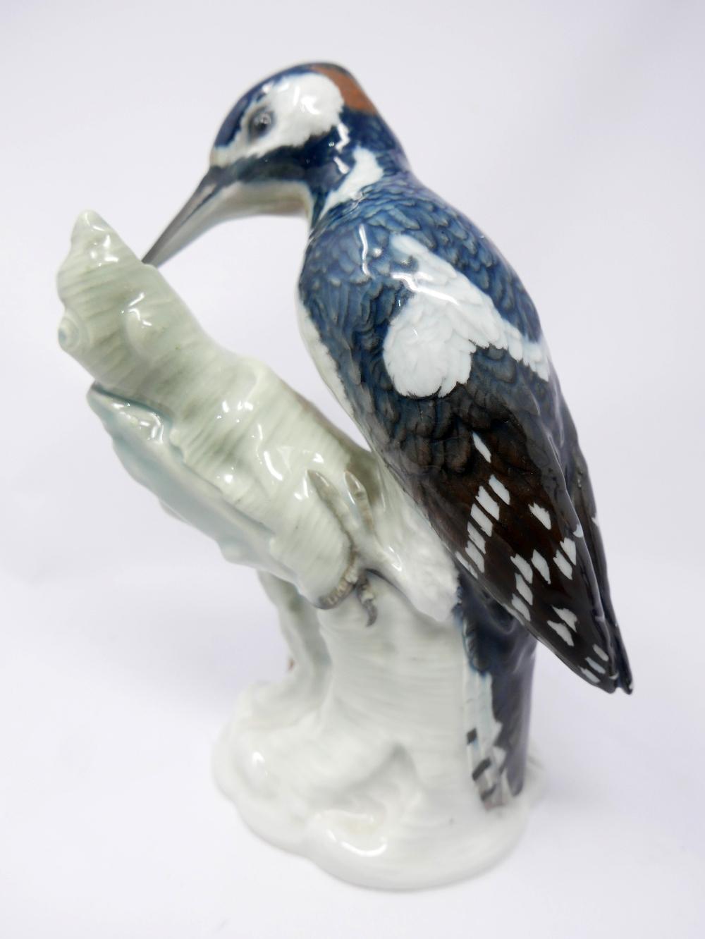 A KPM porcelain kingfisher, inscribed 'Specht' to verso, H.24cm