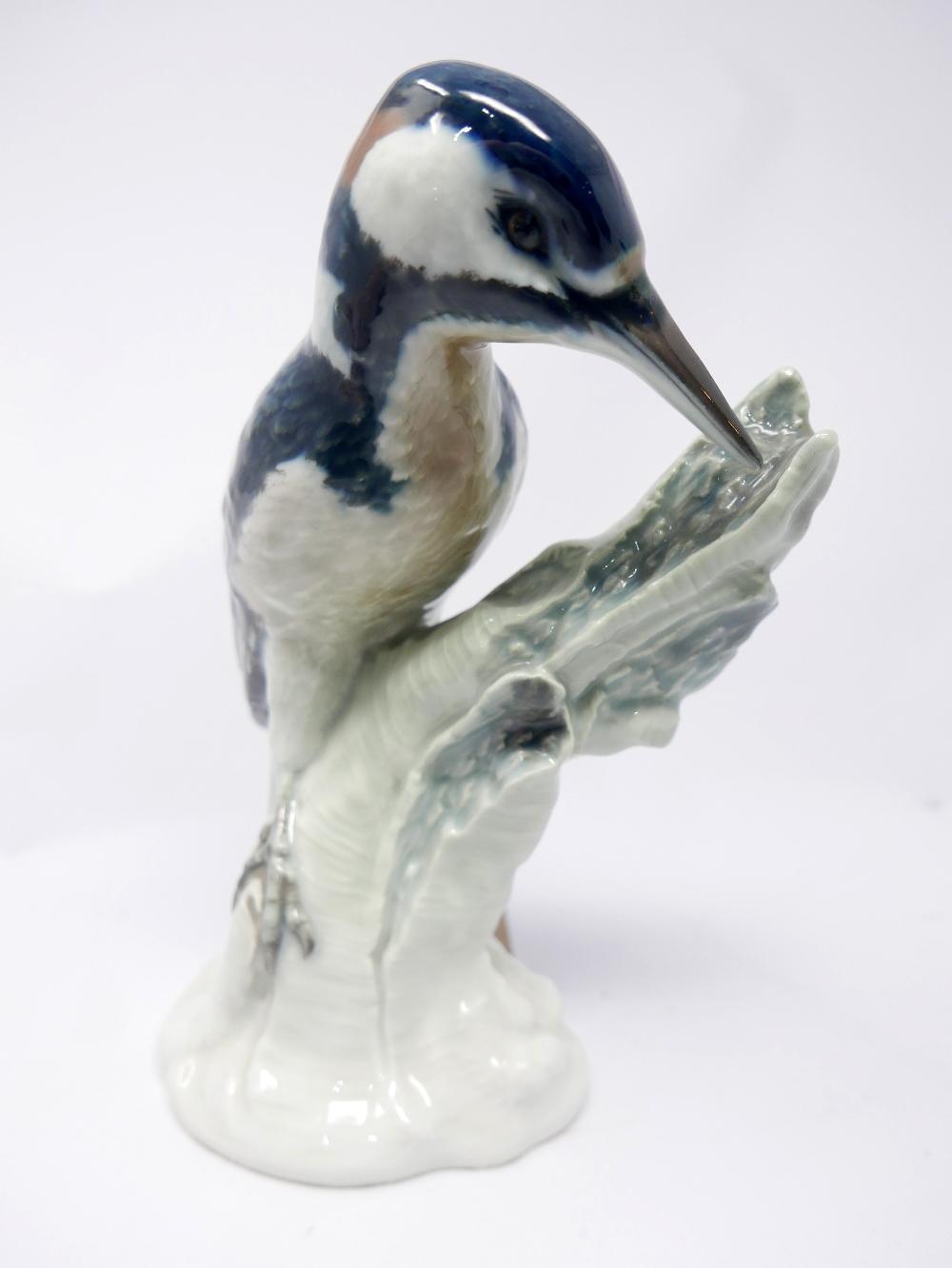 A KPM porcelain kingfisher, inscribed 'Specht' to verso, H.24cm - Image 2 of 3