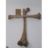 A resin human bone cross, engraved with various words