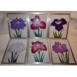 A set of six Japanese woodcut prints of Iris' from the Yokohama Nursery, in silvered frames, 34 x