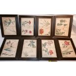 A set of eight Japanese woodcut prints of flowers by Kono Bairei, 'Chigusa No Hana' (Flowers of a