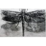 A large drypoint etching of a dragon fly, 'Dry Point Dragonfly', signed limited edition, signed C