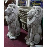 A pair of reconstituted stone seated lions, H.60cm