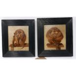 Early 20th century school, Two studies of Monkeys, oil on panel, in ebonised frames, 14 x 12cm