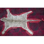 An early 20th century leopard skin rug, having head mount with teeth and claws, mounted on red felt,