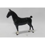 A BESWICK HACKNEY BLACK HORSE PONY