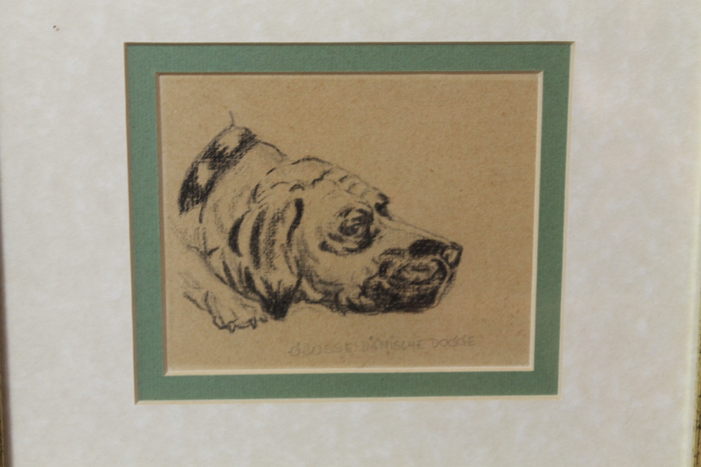 A PAIR OF FRAMED AND GLAZED PICTURES OF GREAT DANES SIGNED IN PENCIL - Image 3 of 3