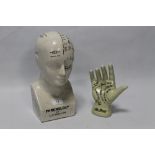 A PHRENOLOGY HEAD TOGETHER WITH A PALMISTRY HAND