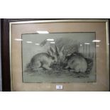 A FRAMED AND GLAZED PENCIL SKETCH OF RABBITS SIGNED W. KAY 1909