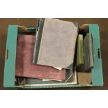 A BOX OF VICTORIAN /EDWARDIAN ALBUMS OF PHOTOGRAPHS including views of Britain, Europe and family p