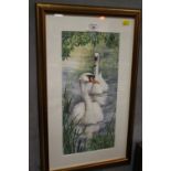 A FRAMED ND GLAZED WATERCOLOUR DEPICTING A PAIR OF SWANS SIGNED LOWER RIGHT