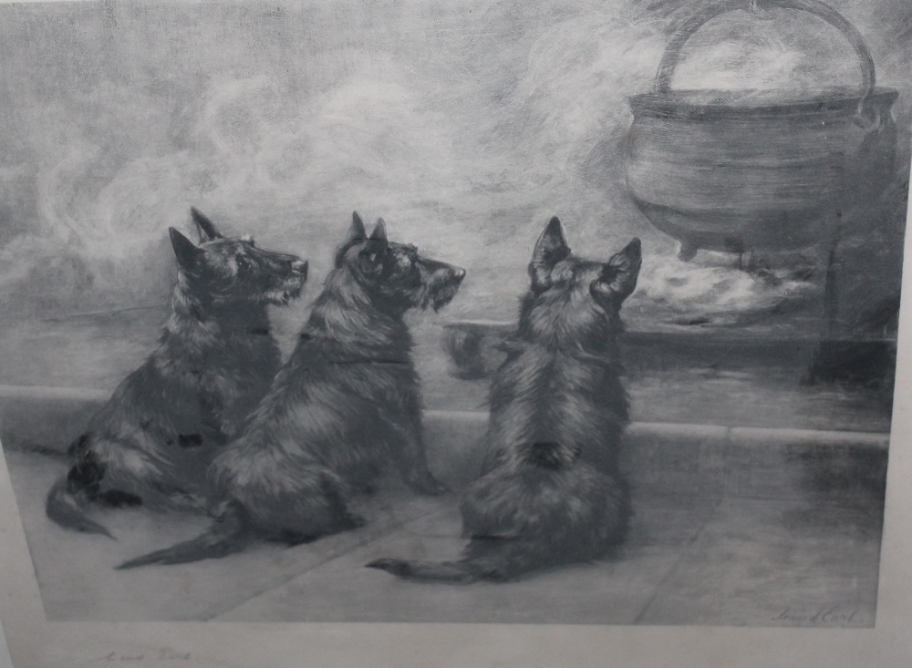 MAUD EARL (1864 - 1943). Study of three black Scotties before a cauldron 'Pot Boilers', signed in