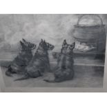 MAUD EARL (1864 - 1943). Study of three black Scotties before a cauldron 'Pot Boilers', signed in