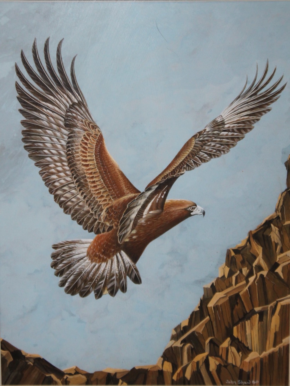 JOHN G. SHAW. Study of eagle flying towards rocky outcrop, signed and dated 1980 lower right,