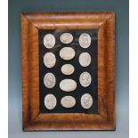 A COLLECTION OF GRAND TOUR PLASTER CAMEO INTAGLIOS, in recess maple frame, glazed, overall 39 x 30.5