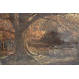 H. RAY. A late 19th / early 20th century wooded river scene with swan and duck, signed lower left,