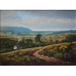 DONALD AYRES (1936). 'Porlock Vale', signed lower right, oil on baord, gilt framed, 30 x 40 cm