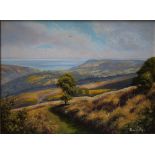 DONALD AYRES (1936). 'Exmoor Spring, Porlock Bay', signed lower right, oil on canvas, gilt framed,