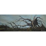 CAVAN CORRIGAN (XX). Uprooted tree, signed lower right, oil on board, unframed, 45.5 x 122 cm