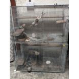 TWO CHINCHILLA CAGES