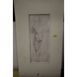 AN UNFRAMED PENCIL SKETCH DEPICTING A STANDING NUDE SIGNED D GRANT LOWER RIGHT