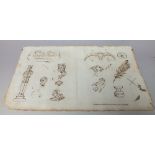 EDWARD KNOTT. Two pages of sketches of mainly decorative architectural items, signed upper left