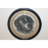 A PENCIL DRAWING OF A LARGE DOG IN CIRCULAR FRAME