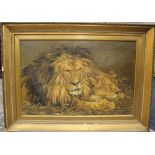 ALICE (XX). Lion, signed lower left, oil on canvas, gilt framed, 50 x 75 cm