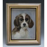 CHARLES WINTER. Twentieth century dog study, signed lower right, oil on board, framed, 23 x 18 cm