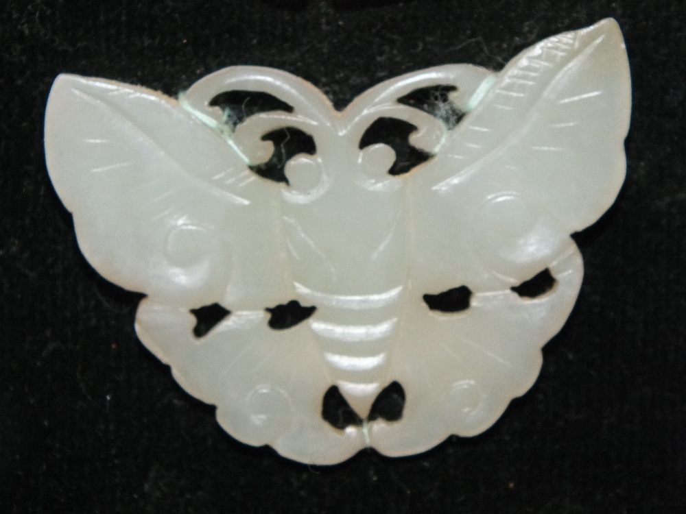 A COLLECTION OF FIVE CHINESE CELADON JADE CARVED INSECT / MOTH PLAQUES, in varying sizes, finely - Image 10 of 12