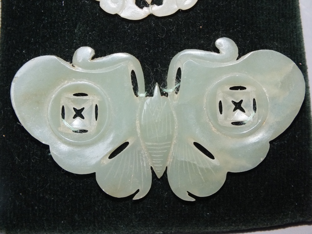 A COLLECTION OF FIVE CHINESE CELADON JADE CARVED INSECT / MOTH PLAQUES, in varying sizes, finely - Image 12 of 12