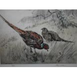 HENRY WILKINSON (1921-2011). Game birds and a gun dog, signed in pencil, etchings, a pair, framed