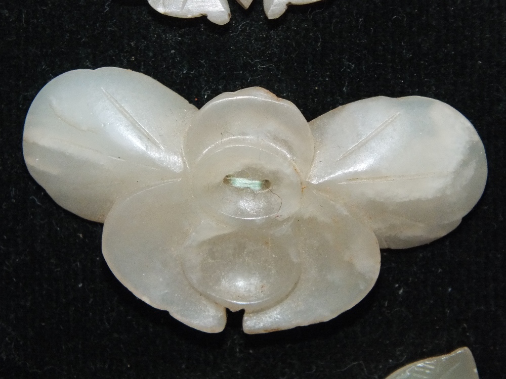 A COLLECTION OF FIVE CHINESE CELADON JADE CARVED INSECT / MOTH PLAQUES, in varying sizes, finely - Image 8 of 12