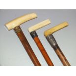 THREE LATE 19TH CENTURY MALACCA WALKING STICKS, two with hallmarked silver collars, ivory handled (
