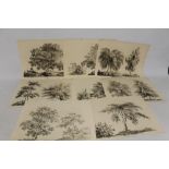 J. LA PORTE - EIGHT SOFT GROUND ETCHINGS OF TREES, published by John P. Thompson 1800 - 1804 (8)