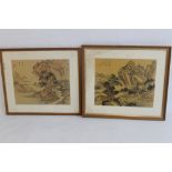 A PAIR OF ORIENTAL / JAPANESE FRAMED AND GLAZED INK DRAWINGS / STUDIES, both bearing signatures