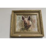 TONY FORREST - SIGNED PAINTING ON CANVAS OF A PIG, in gilt frame, signed lower right, 42 x 37 cm in