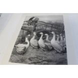 WILLIAM WEEKES ETCHING OF GEESE AND RAVEN, signed in pencil by Weekes and Chas Tomkins