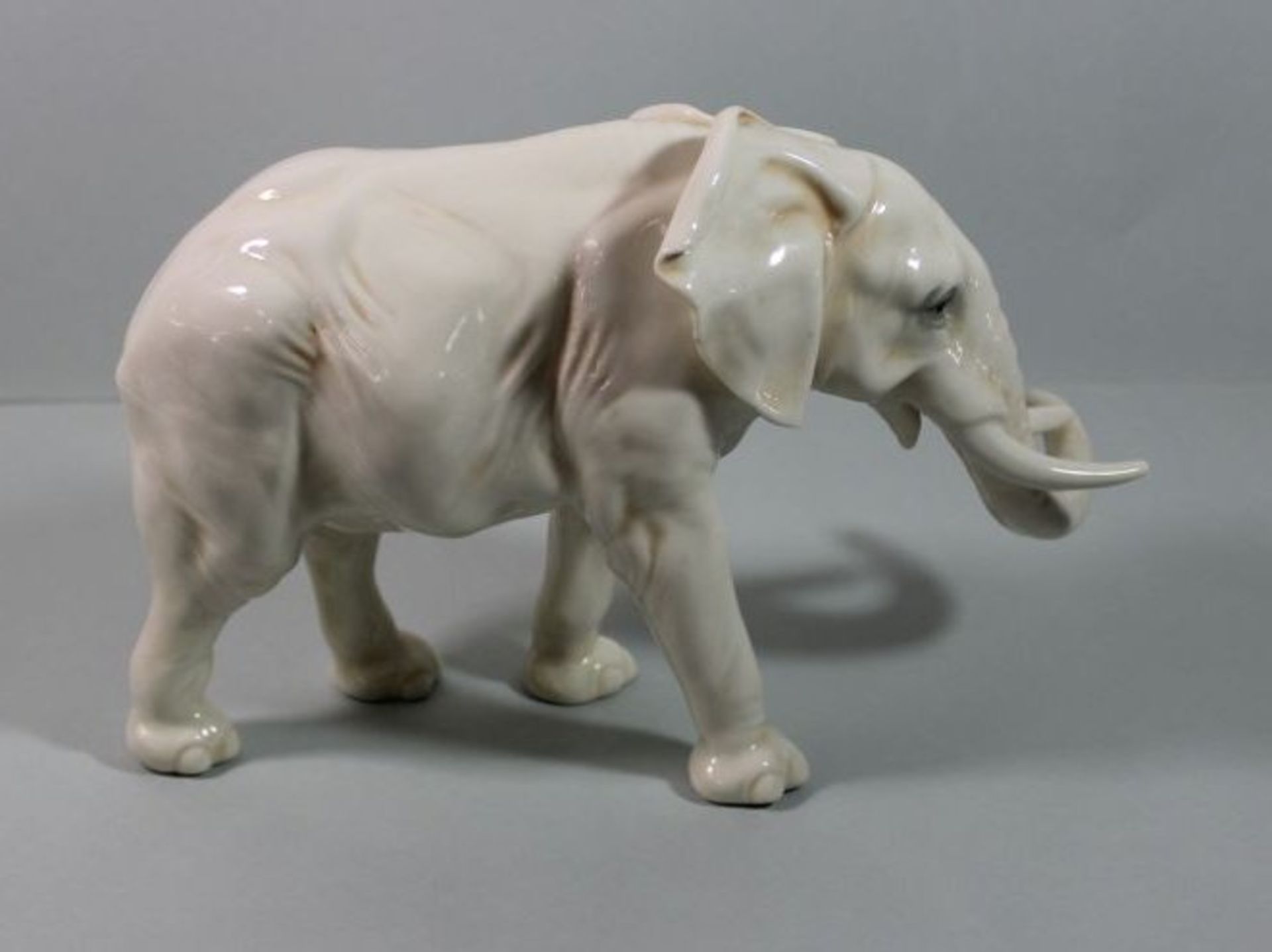 Elefant, Ens Volkstedt Rudolstadt um 1930, guter Zustand, kl. Brandfehler am Stosszahn, H-19cm B- - Bild 2 aus 4