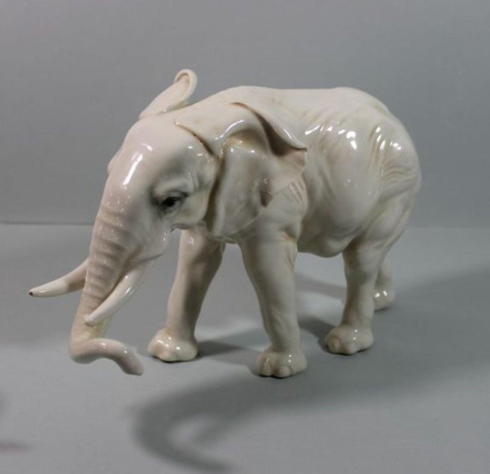 Elefant, Ens Volkstedt Rudolstadt um 1930, guter Zustand, kl. Brandfehler am Stosszahn, H-19cm B-