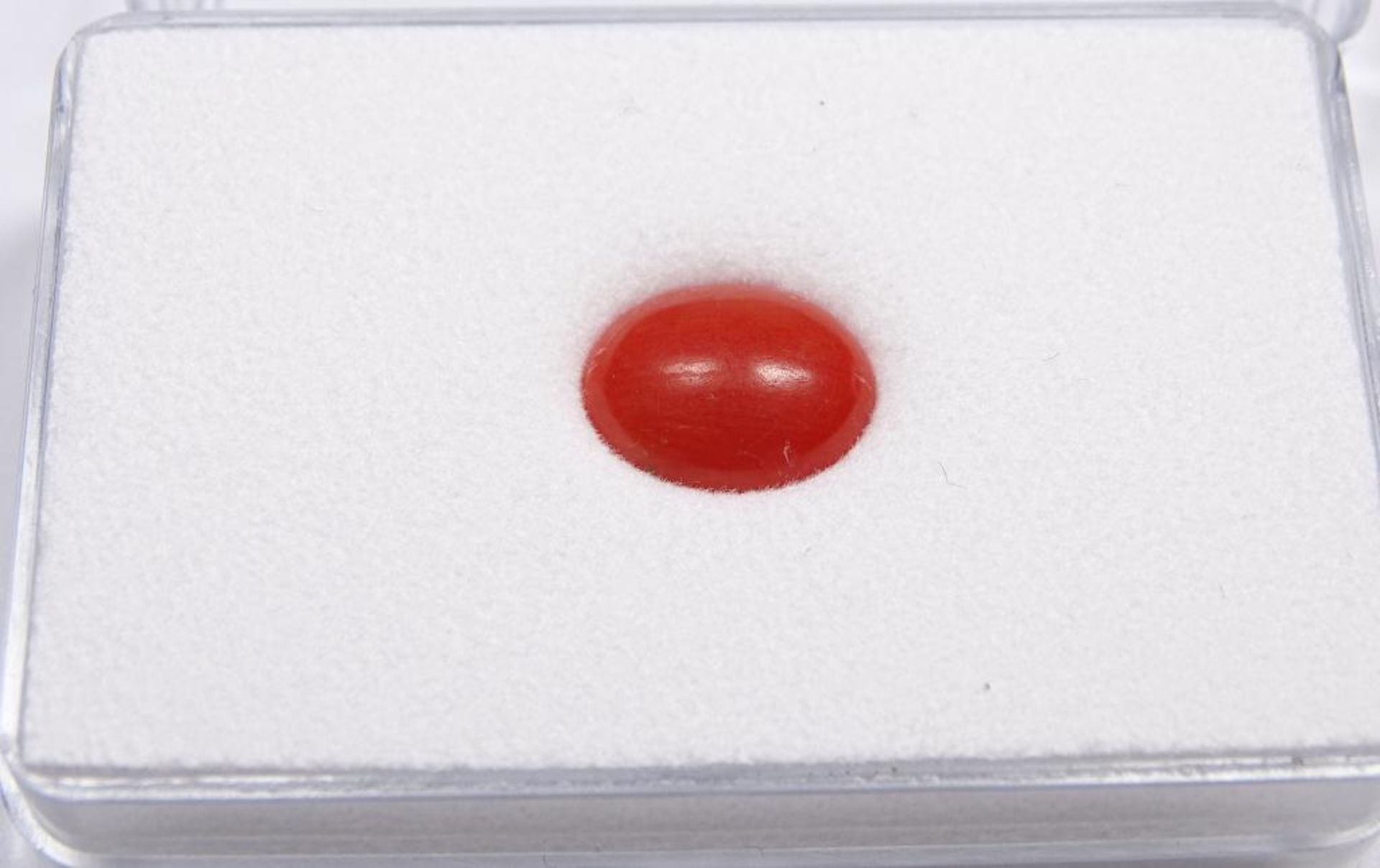 Koralle, 2,83 ct, ovaler Cabochon, orang-rot, 11,5 x 9 x 3 mm
